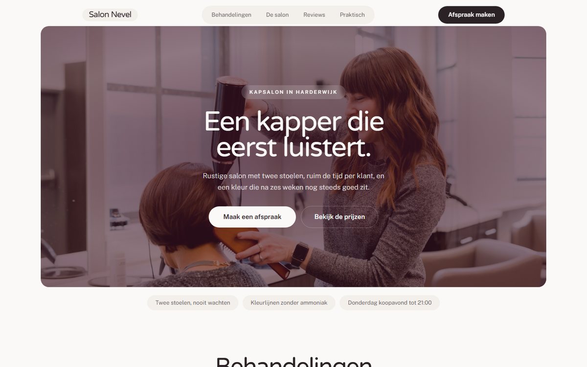 Screenshot van de voorbeeldsite voor Salon Nevel
